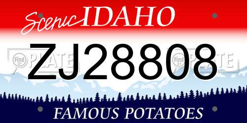 ZJ28808 Idaho License Plate