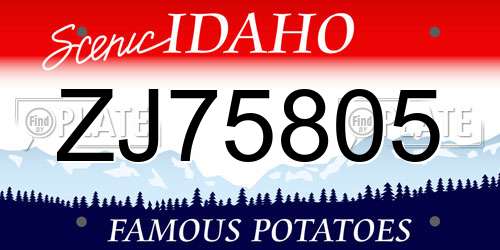 ZJ75805 Idaho License Plate