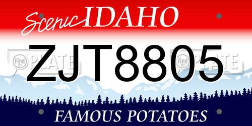 ZJT8805 Idaho License Plate