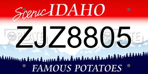 ZJZ8805 Idaho License Plate