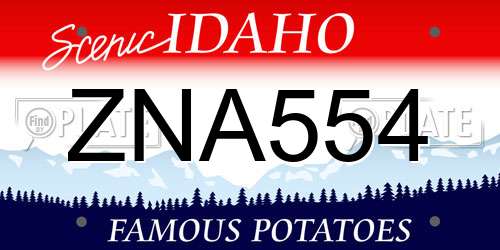 ZNA554 Idaho License Plate