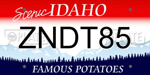ZNDT85 Idaho License Plate
