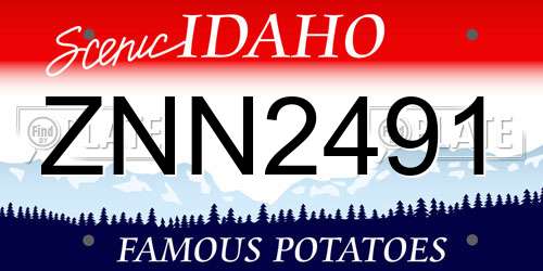 ZNN2491 Idaho License Plate