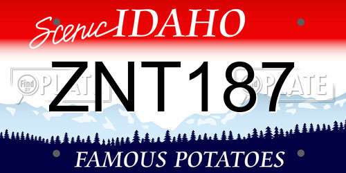 ZNT187 Idaho License Plate
