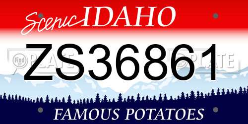 ZS36861 Idaho License Plate