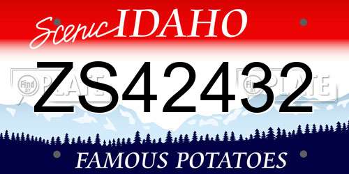 ZS42432 Idaho License Plate