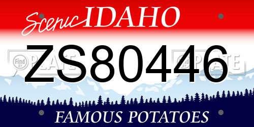 ZS80446 Idaho License Plate
