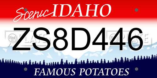 ZS8D446 Idaho License Plate