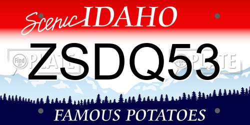 ZSDQ53 Idaho License Plate