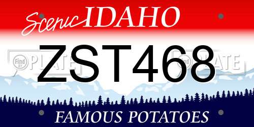 ZST468 Idaho License Plate