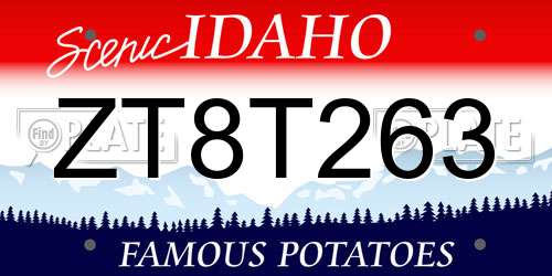 ZT8T263 Idaho License Plate