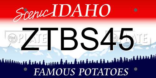 ZTBS45 Idaho License Plate