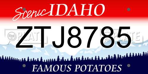 ZTJ8785 Idaho License Plate