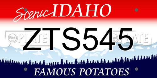 ZTS545 Idaho License Plate