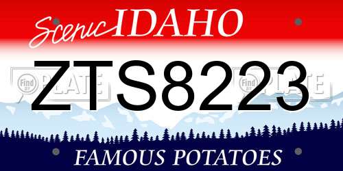 ZTS8223 Idaho License Plate