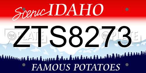 ZTS8273 Idaho License Plate