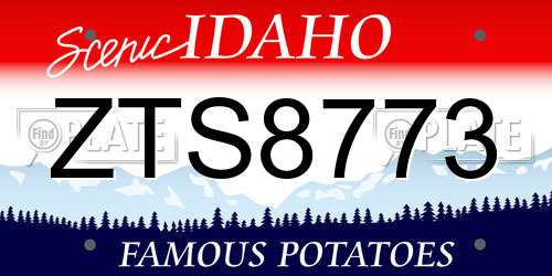 ZTS8773 Idaho License Plate