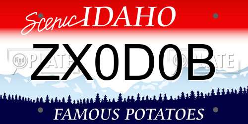 ZX0D0B Idaho License Plate