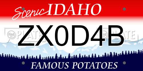 ZX0D4B Idaho License Plate