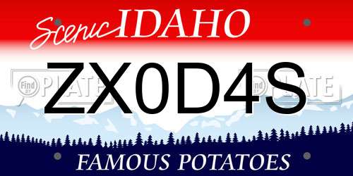 ZX0D4S Idaho License Plate