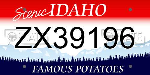 ZX39196 Idaho License Plate