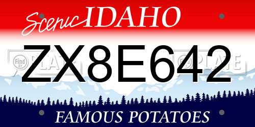 ZX8E642 Idaho License Plate