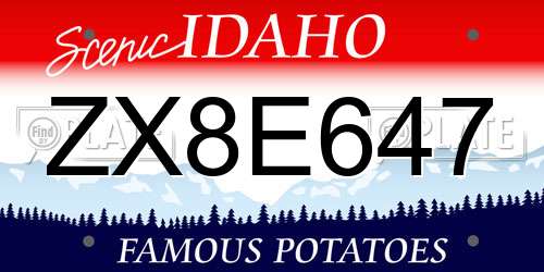 ZX8E647 Idaho License Plate