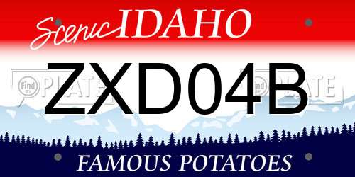 ZXD04B Idaho License Plate