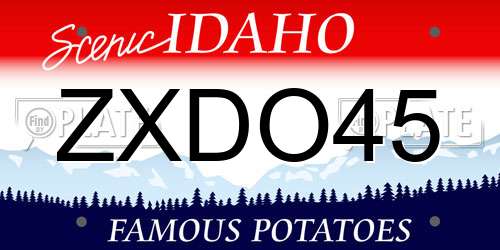 ZXDO45 Idaho License Plate