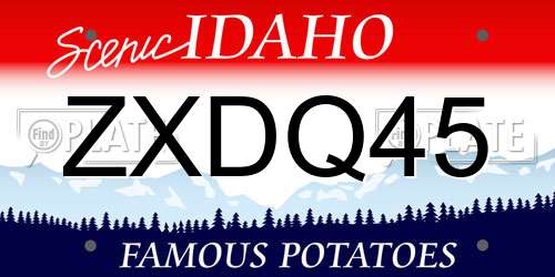 ZXDQ45 Idaho License Plate