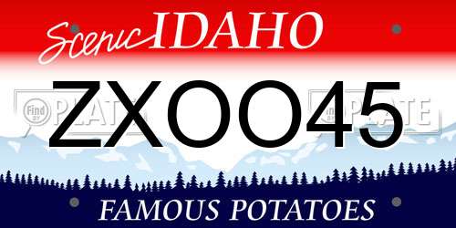 ZXOO45 Idaho License Plate