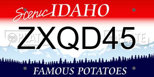 ZXQD45 Idaho License Plate
