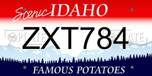 ZXT784 Idaho License Plate