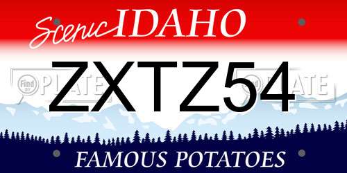 ZXTZ54 Idaho License Plate