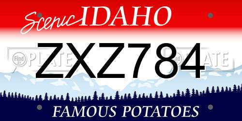 ZXZ784 Idaho License Plate