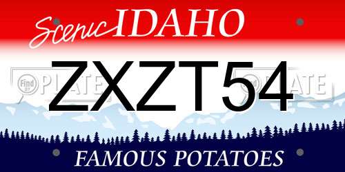 ZXZT54 Idaho License Plate