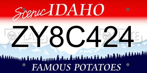 ZY8C424 Idaho License Plate