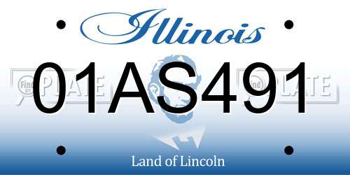 01AS491 Illinois License Plate