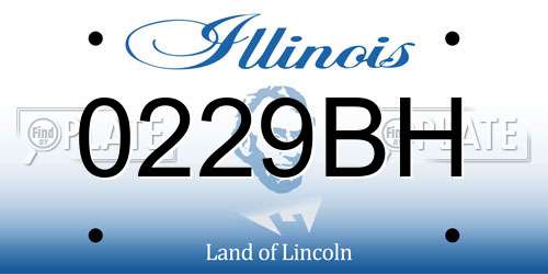 0229BH Illinois License Plate