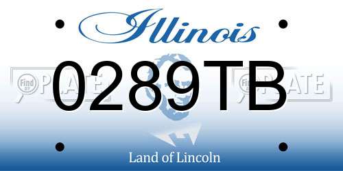 0289TB Illinois License Plate