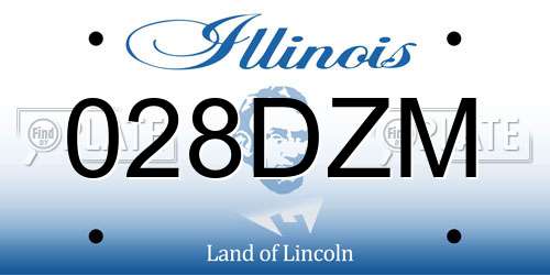 028DZM Illinois License Plate