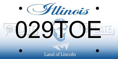 029TOE Illinois License Plate