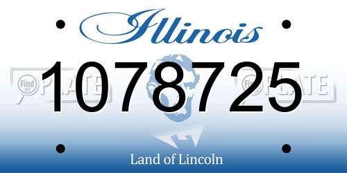 1078725 Illinois License Plate