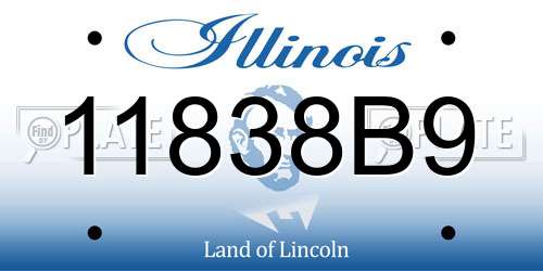 11838B9 Illinois License Plate