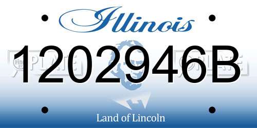 1202946B Illinois License Plate