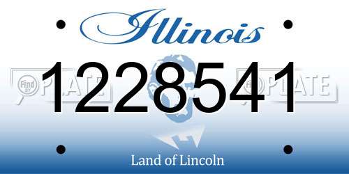 1228541 Illinois License Plate