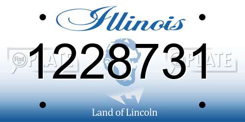 1228731 Illinois License Plate