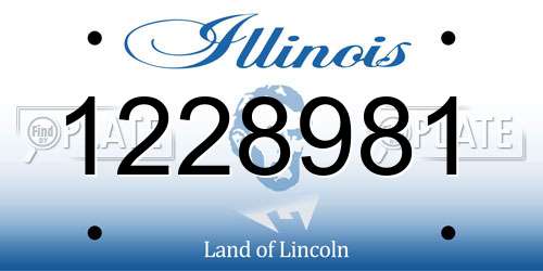 1228981 Illinois License Plate