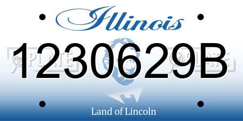 1230629B Illinois License Plate