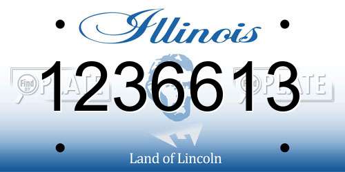 1236613 Illinois License Plate